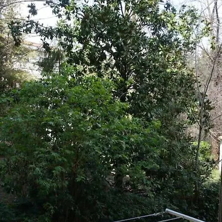 Dali House Apartment *